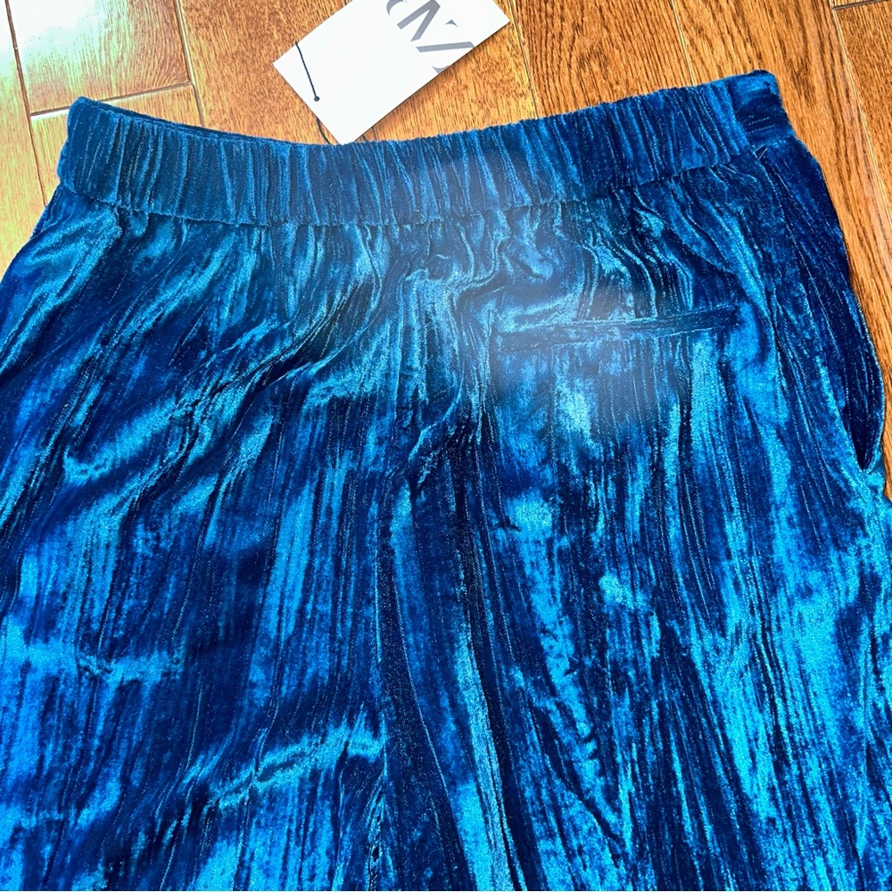 velvet pants - Picture 6 of 7